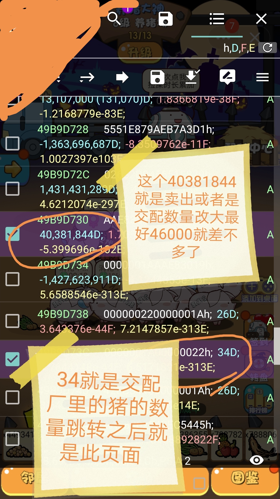 185431fflpxf52fxnak7ap.jpg