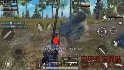 204314eccygg68gluy86p0.jpg
